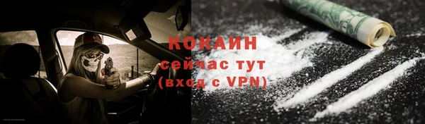 индика Бугульма