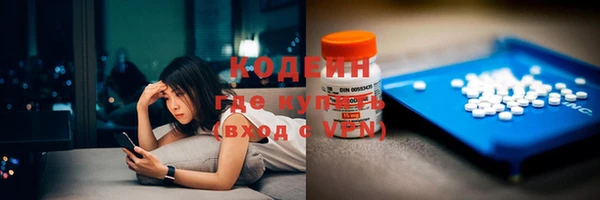 индика Бугульма