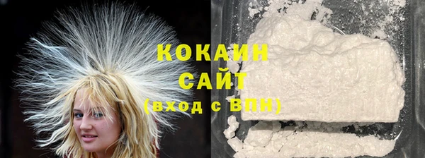 индика Бугульма