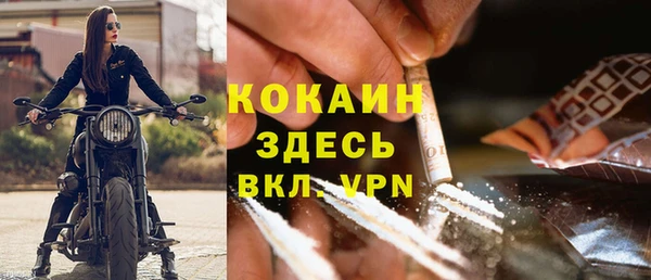 индика Бугульма