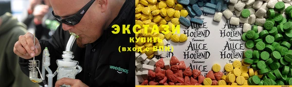индика Бугульма