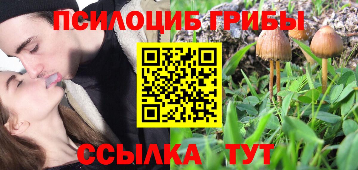 Галлюциногенные грибы Psilocybe  Вход с VPN  Галлюциногенные грибы MAGIC MUSHROOMS  где найти наркотики  Горячий Ключ 